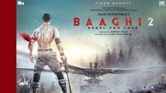 Tiger-Shroff-Baaghi-top-image
