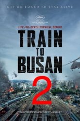 train